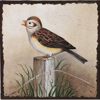 Field Sparrow/Sparrow Series